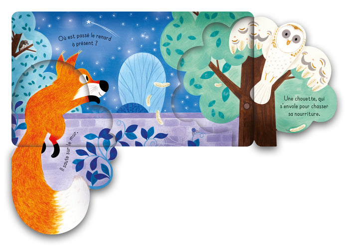 Le renard - Mon petit livre à rabats