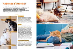 Pourquoi mon chat fait-il ça?