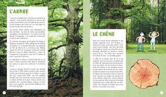 Comment prendre son bain ... de forêt