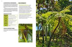 Jurassic Plantes - Ginkgos, magnolias, prêles... l'esprit jungle dans votre jardin
