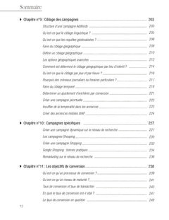 Le Référencement Publicitaire avec Google AdWords - 2e édition