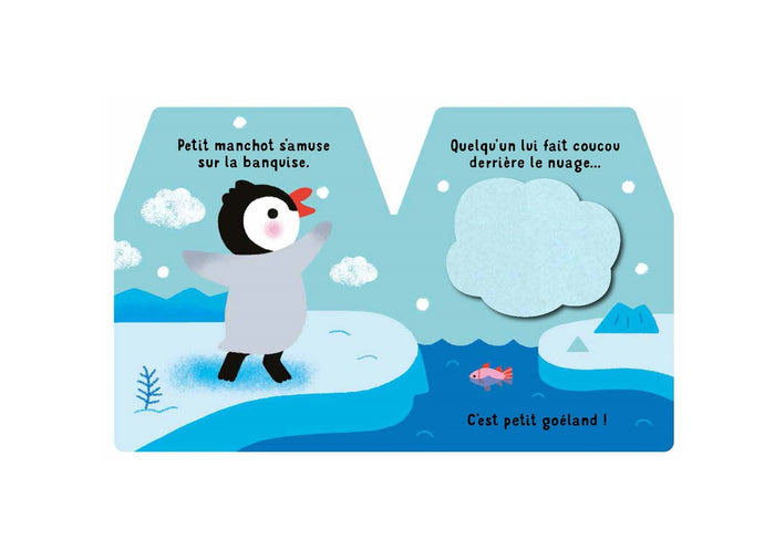 Cache-cache petit manchot