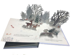 La Magie de l'hiver