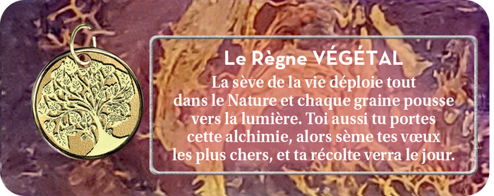 Le petit oracle de la mission d'âme