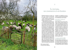 Elever des brebis et des moutons