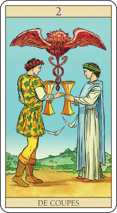 Coffret nouvelle vision du tarot