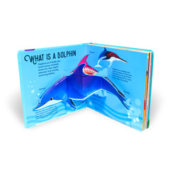10 pop ups - Dolphins