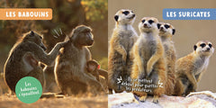 Mon premier doc photo - Les animaux de la savane