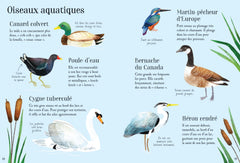 Mon petit guide de la nature - Dès 6 ans
