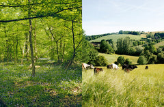 Prendre soin de son sol - Mieux le comprendre, le fertiliser et favoriser la vie