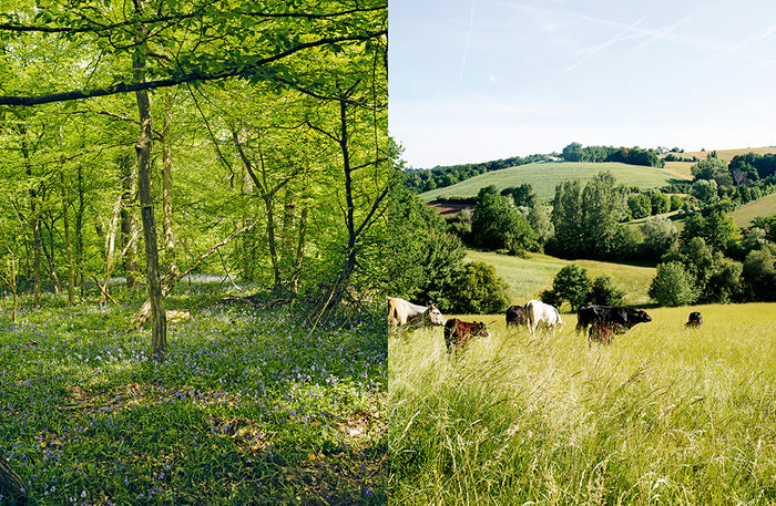 Prendre soin de son sol - Mieux le comprendre, le fertiliser et favoriser la vie