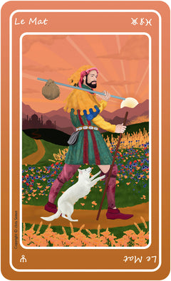 Le nouveau tarot de Marseille