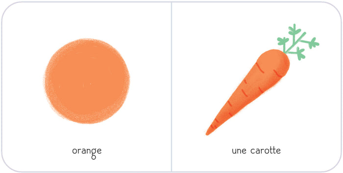 Ma boîte à trésors - Premières découvertes