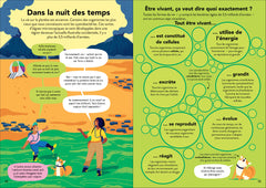 L'écologie pour les débutants