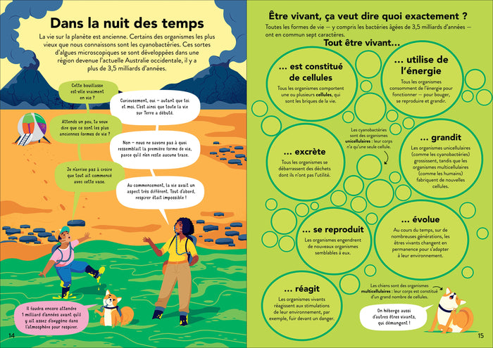 L'écologie pour les débutants