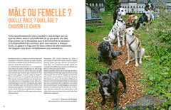 Adopter un chien en refuge