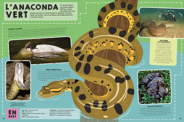 Le guide des animaux