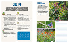 Jardiner avec la Lune 2026