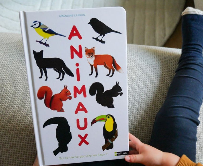 Imagier des animaux - Qui se cache derrière les flaps ?