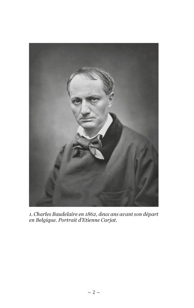 pauvre belgique amoenitates belgicæ