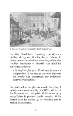 pauvre belgique amoenitates belgicæ