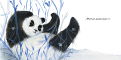 Petit Panda