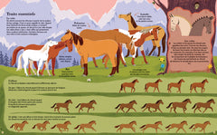 Chevaux