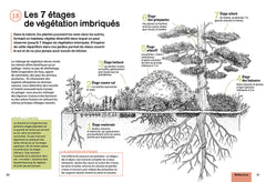 Cultiver sans bêcher - Techniques alternatives - Végétation couvre-sol - Respecter la terre