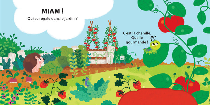 Les insectes - Mes petits coucous