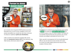 Pourquoi les canards n'ont jamais froid ? Et autres questions hivernales