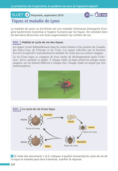 Maxi Annales Brevet 2027 - Corrigé