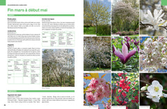 Toutes les plantes - Pour toutes les envies et toutes les situations