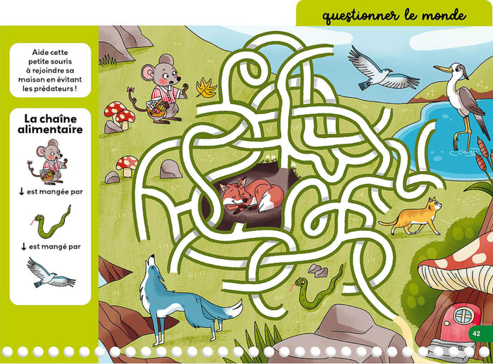 Mes jeux effaçables de 1re Primaire