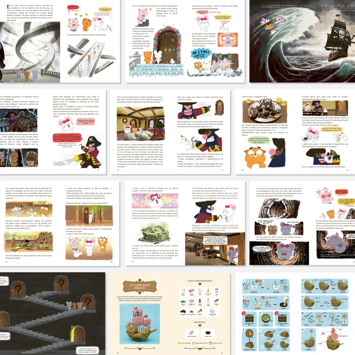 Le Château des 5 saveurs - Tome 02 Le salé, le goût du risque