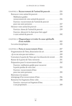 La magie de la Terre - Empruntez la voie sacrée de la guérison chamanique