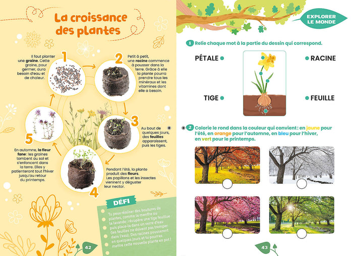 Mon cahier de vacances zen et nature