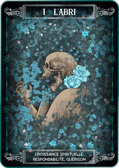 Coffret Earth and Bone - Cartes Oracle