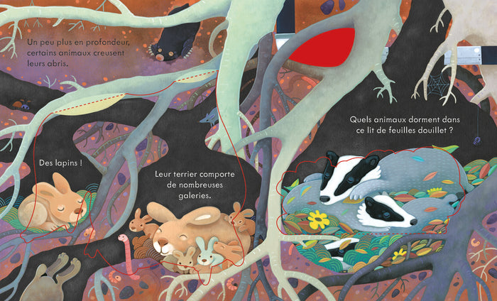 Sous la terre - Coucou !