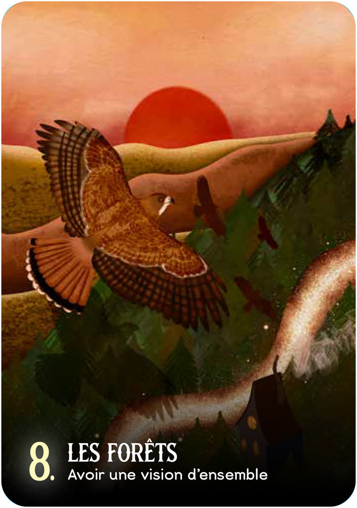 Coffret L'oracle de la magie des sorcières