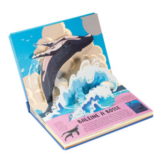 La nature en pop-up - Baleines et dauphins