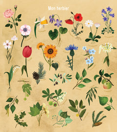 Je découvre les arbres et les fleurs: En dessinant et colorant