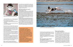 Adopter un chien en refuge