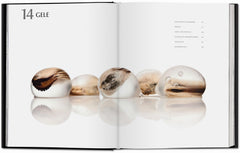 Modernist Cuisine. Art et science culinaires