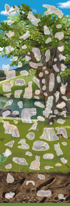La vie des arbres