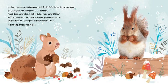 Petit écureuil ramasse des noisettes