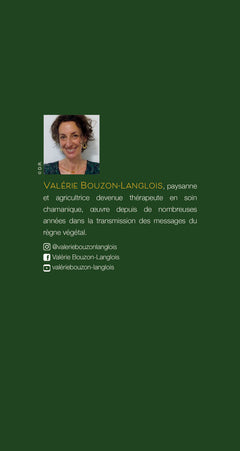 Paroles de plantes - Comment communiquer avec le règne végétal et rencontrer vos plantes totems ?
