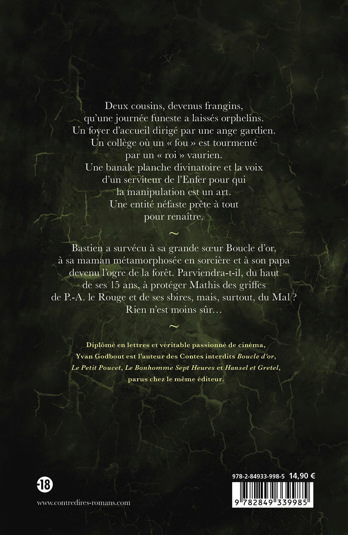 Bastien et Mathis - Les orphelins Andersen