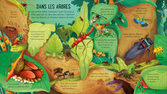 Le monde des insectes et des petites bêtes - P'tits curieux Usborne - Dès 5 ans