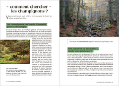 Les Carnets du Scarabée - Champignons