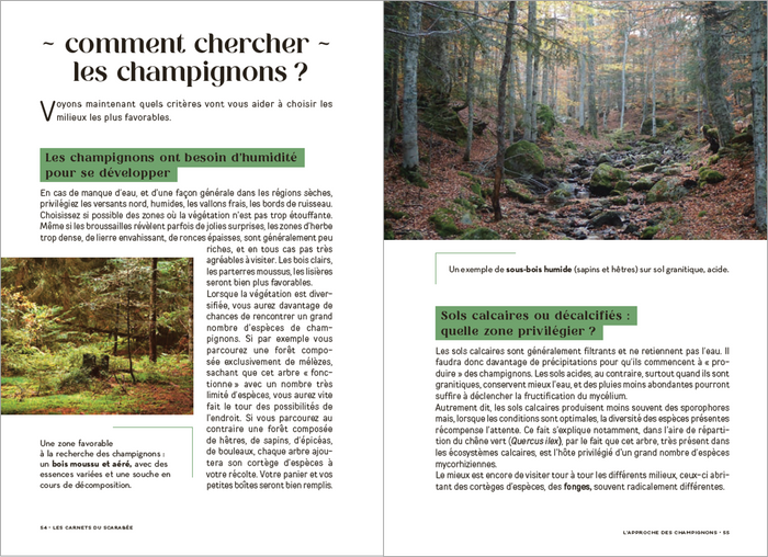 Les Carnets du Scarabée - Champignons